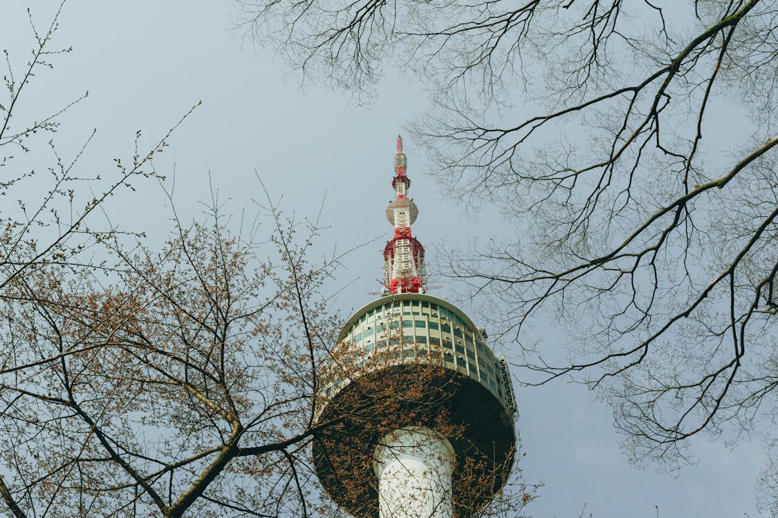 N Seoul Tower on Namsan Mountain with Seoul cityscape panorama