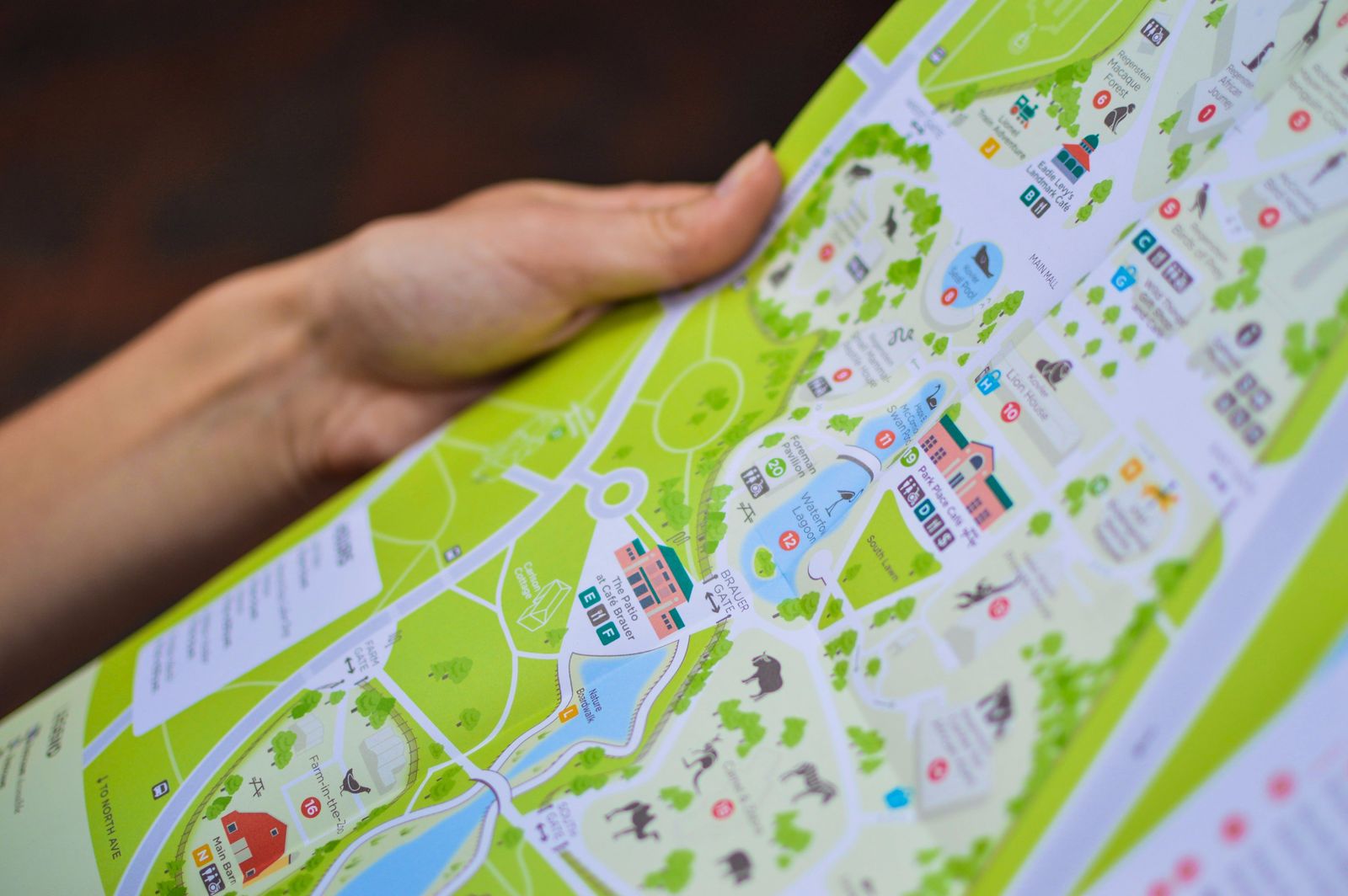 Traveler holding a paper city map while working out where to go next