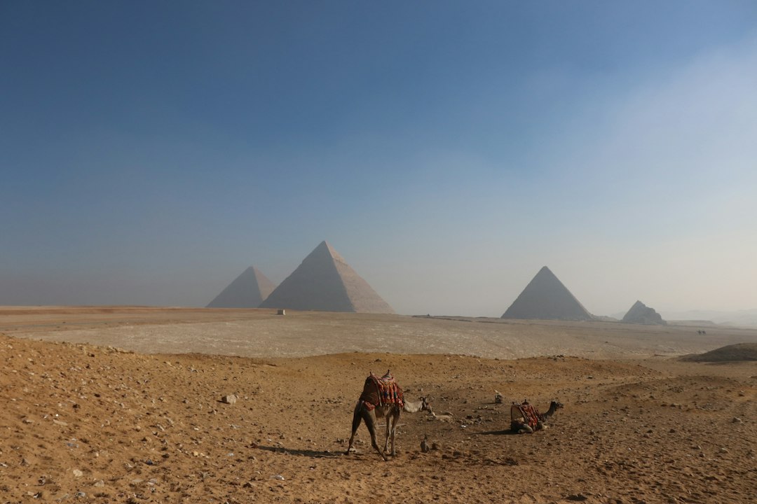 Egypt or Morocco which is better: travelers walking on the sand toward the Giza pyramids